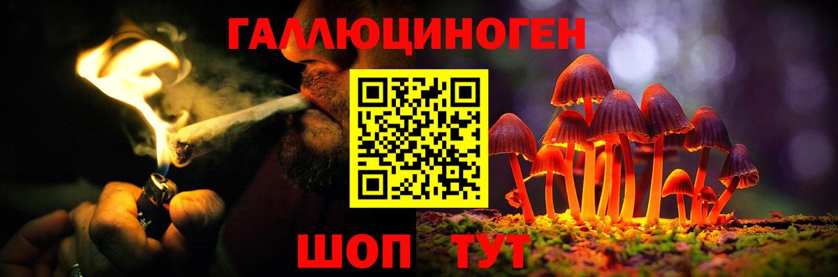 Псилоцибиновые грибы Psilocybe Белогорск